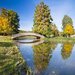 Tineretului Parc, garsoniera moderna